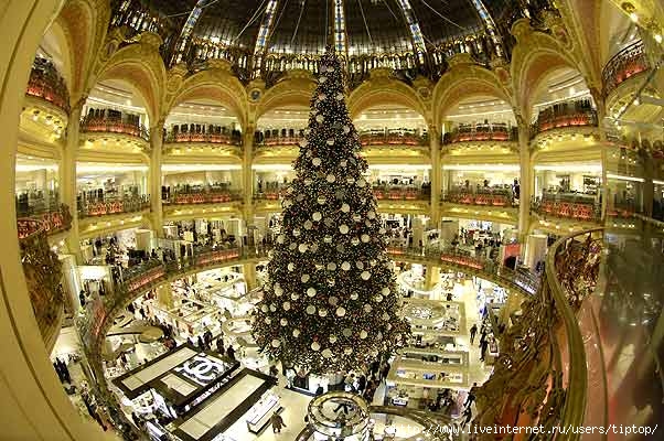 1197991600_christmas_tree_les_galerie_lafayette (602x400, 49Kb)