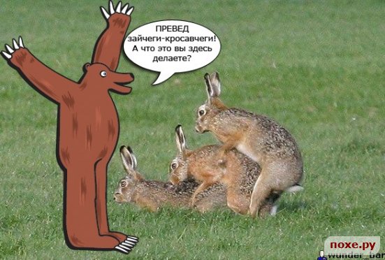  (551x372, 55Kb)