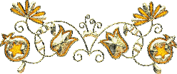  (248x104, 24Kb)