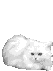  (53x71, 55Kb)