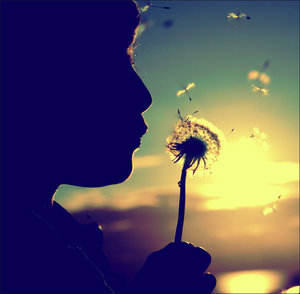 4775754_4457018_dandelion__by_smokedval (300x294, 14Kb)