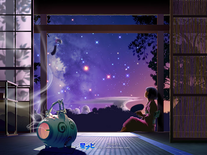  (700x525, 111Kb)