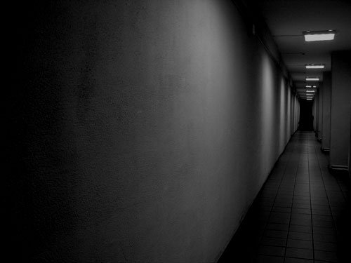  (500x375, 20Kb)