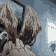  (80x80, 19Kb)