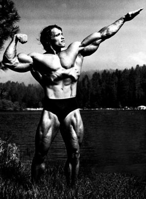  (295x400, 25Kb)