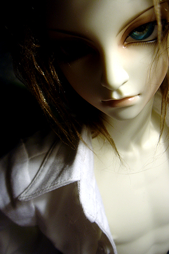  (333x500, 175Kb)
