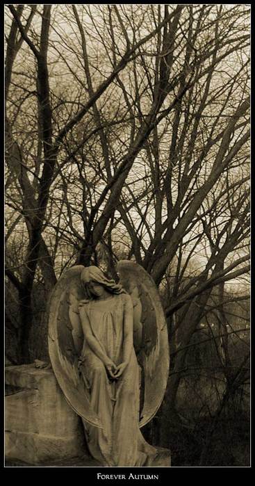 forever (367x699, 62Kb)
