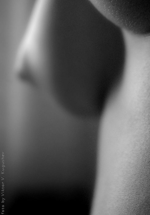 13158894_tara_lp_196 (487x700, 58Kb)