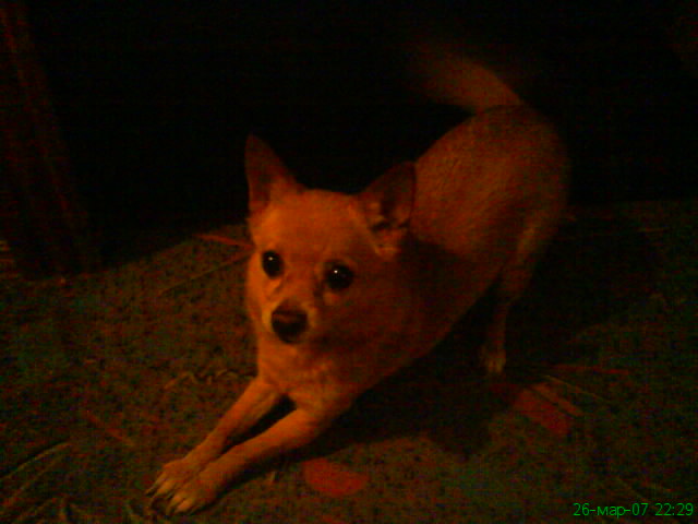 DSC00151 (640x480, 51Kb)