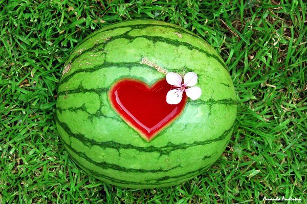 23200095_22243842_20933939_Watermelon_by_Yourmumsafag (600x398, 94Kb)