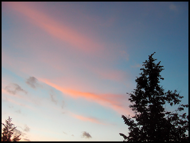  (610x460, 165Kb)