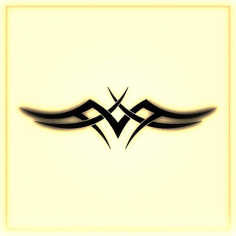  (480x480, 19Kb)