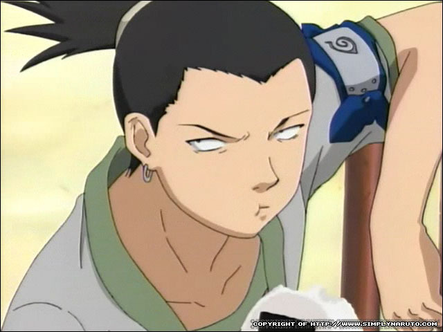  (640x480, 69Kb)
