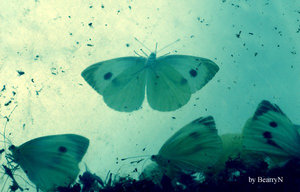  (300x192, 17Kb)