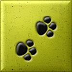  (150x150, 19Kb)