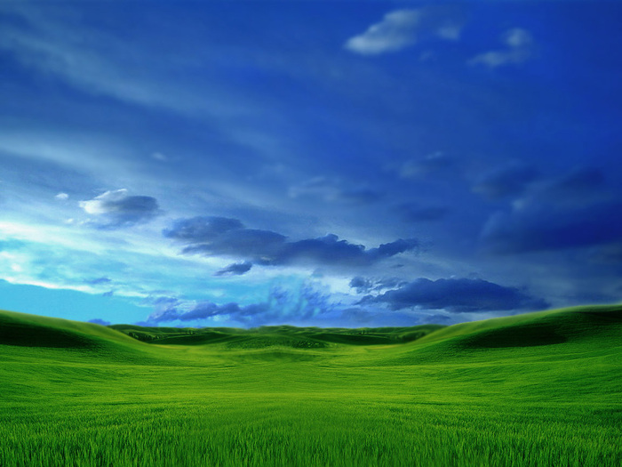 (700x525, 121Kb)