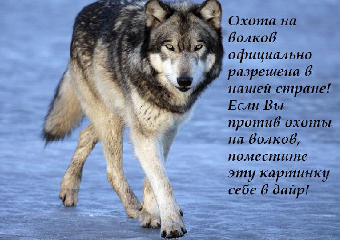  (677x479, 103Kb)