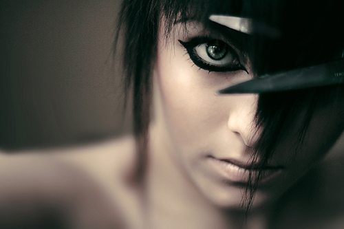  (500x333, 104Kb)