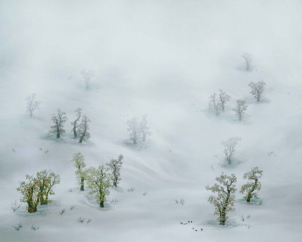  (600x480, 25Kb)