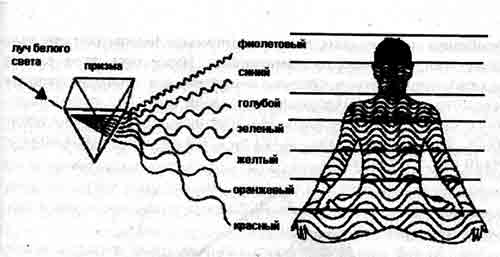 Схема вибраций человека