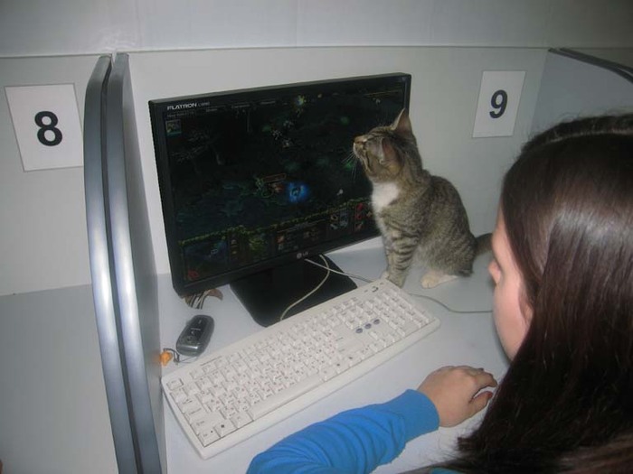  (700x525, 62Kb)