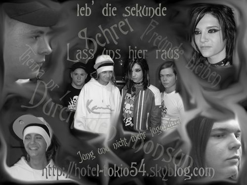  (500x375, 32Kb)