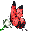 1200751391__Butterflyka_ (99x109, 14Kb)