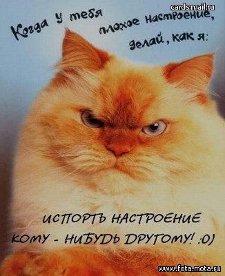 (326x400, 29Kb)