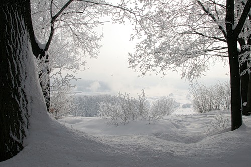 0_76db_2f26b3fb_L (500x333, 60Kb)
