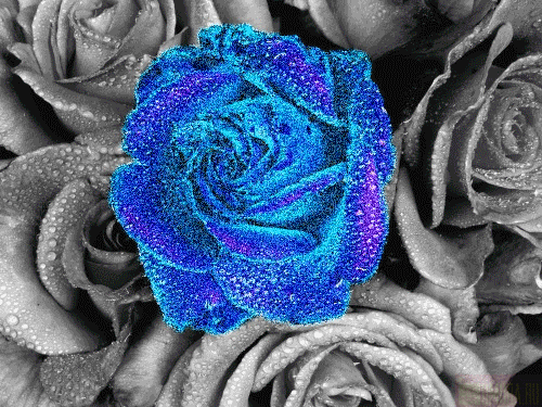  (500x375, 252Kb)