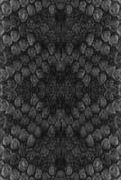  (121x180, 45Kb)