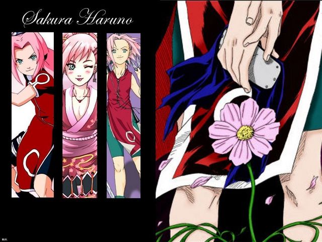  (640x480, 65Kb)