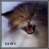  (100x100, 14Kb)