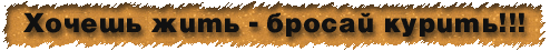  (494x46, 10Kb)