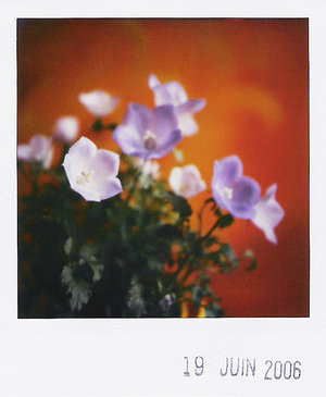  (300x365, 22Kb)