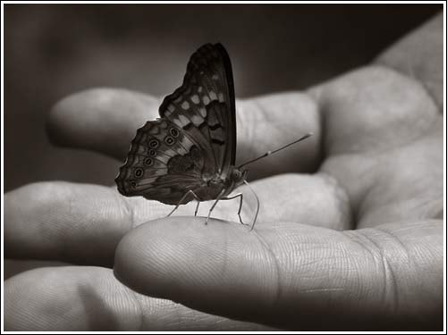  (500x375, 22Kb)
