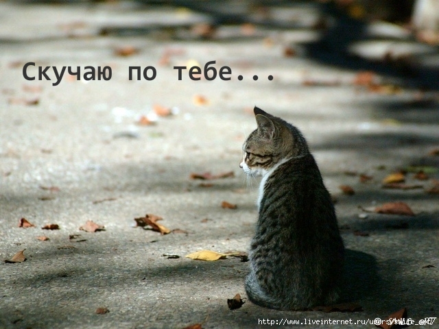  (640x480, 170Kb)