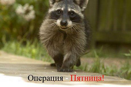  (460x305, 20Kb)