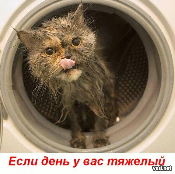  (600x599, 123Kb)