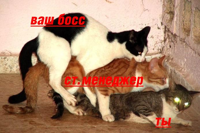  (694x461, 53Kb)