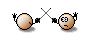  (101x34, 15Kb)