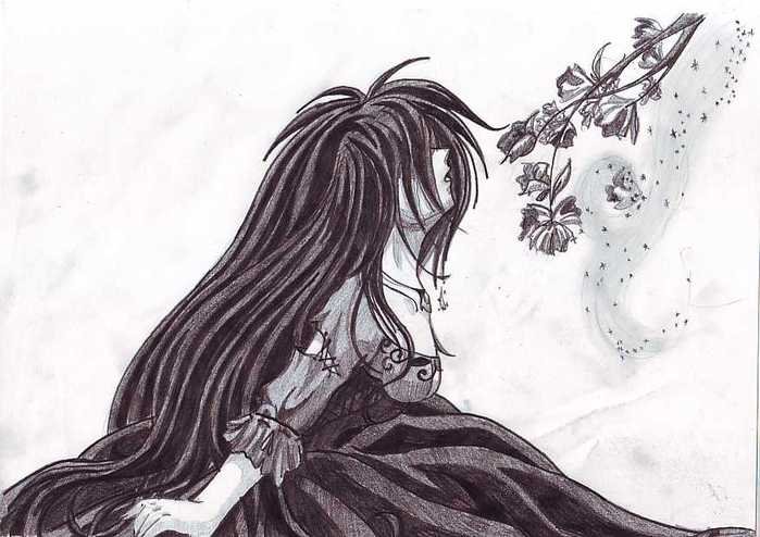 my picture0001 (699x494, 41Kb)