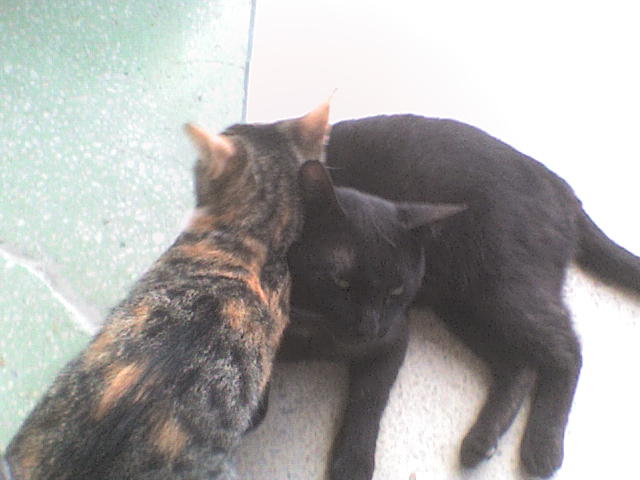 (640x480, 41Kb)