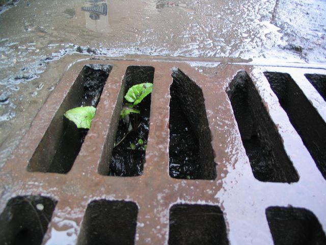  (640x480, 59Kb)