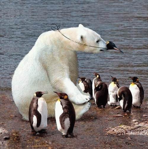 1200029145_26 (500x503, 61Kb)