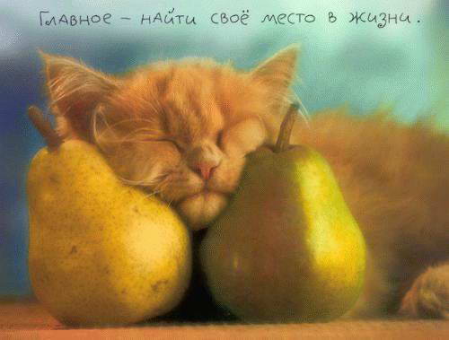  (500x379, 22Kb)
