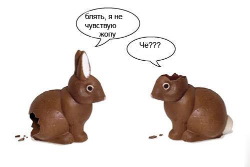  (500x333, 15Kb)