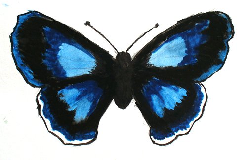  (500x325, 28Kb)