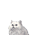  (63x70, 35Kb)