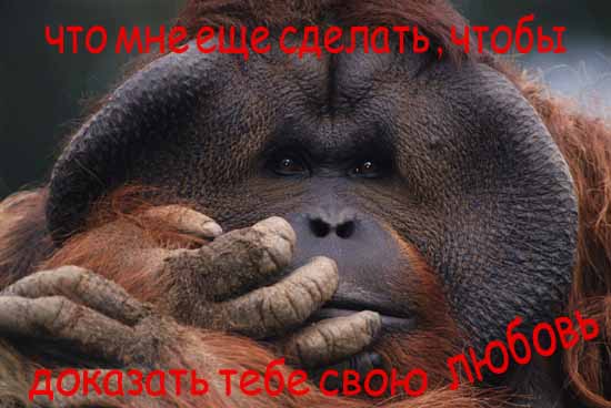  (550x368, 26Kb)